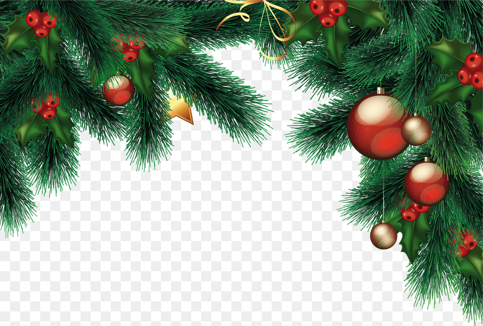 Christmas Decorations, Plant, Tree, Conifer, Christmas Decorations Free Png Download