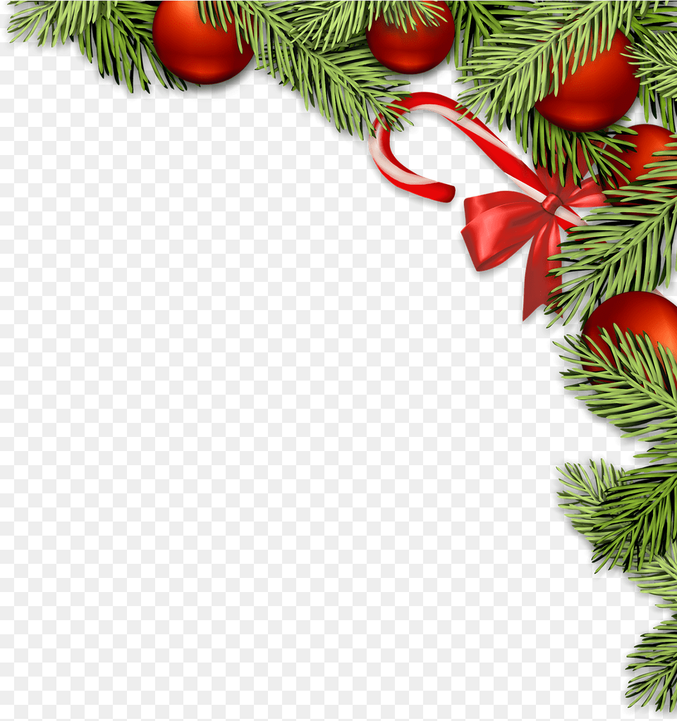 Christmas Decorations Christmas Baubles Christmas Enfeite De Natal, Conifer, Plant, Tree, Christmas Decorations Png Image