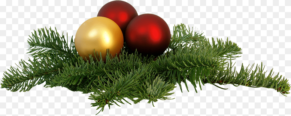 Christmas Decorations Corporate New Year Wishes To Clients, Conifer, Egg, Fir, Food Free Png