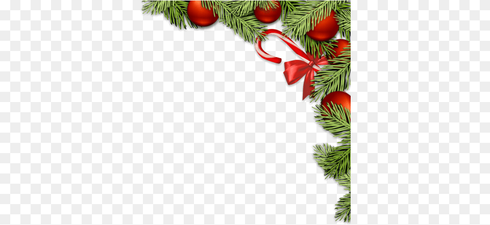 Christmas Decorations Filter Christmas Decoration, Conifer, Plant, Tree, Accessories Png