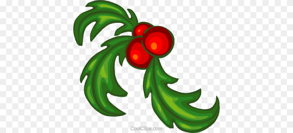 Christmas Decorations Holly Royalty Free Vector Clip Art, Conifer, Food, Fruit, Plant Png