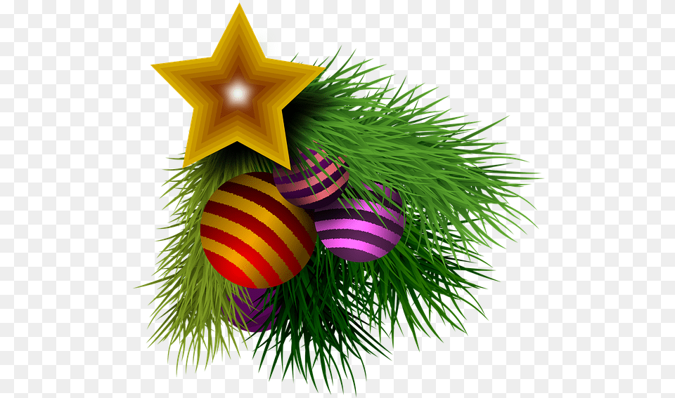 Christmas Decorative Decoration Image On Pixabay Christmas Day, Plant, Food Png