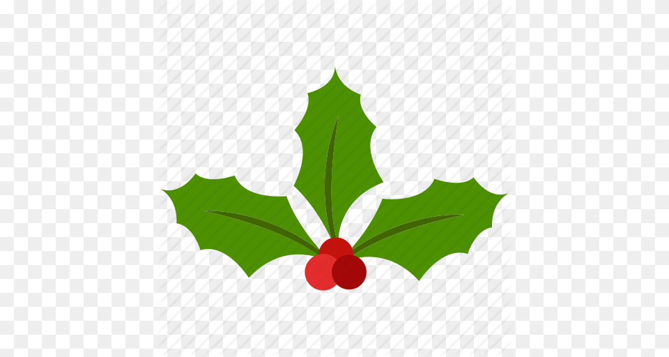 Christmas Decotation Mistletoe Xmas Icon, Leaf, Plant, Food, Fruit Free Png Download