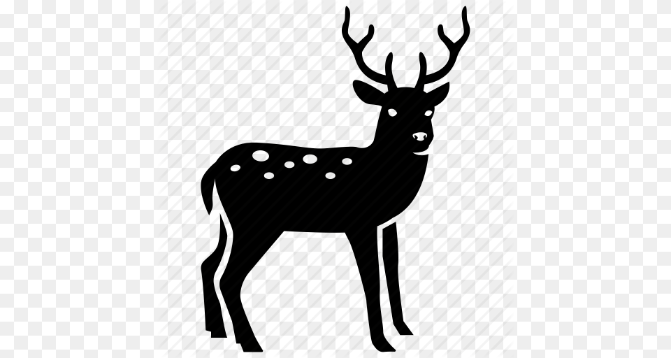 Christmas Deer Hunting Reindeer Rudolph Stag Venison Icon, Animal, Mammal, Wildlife, Elk Free Png