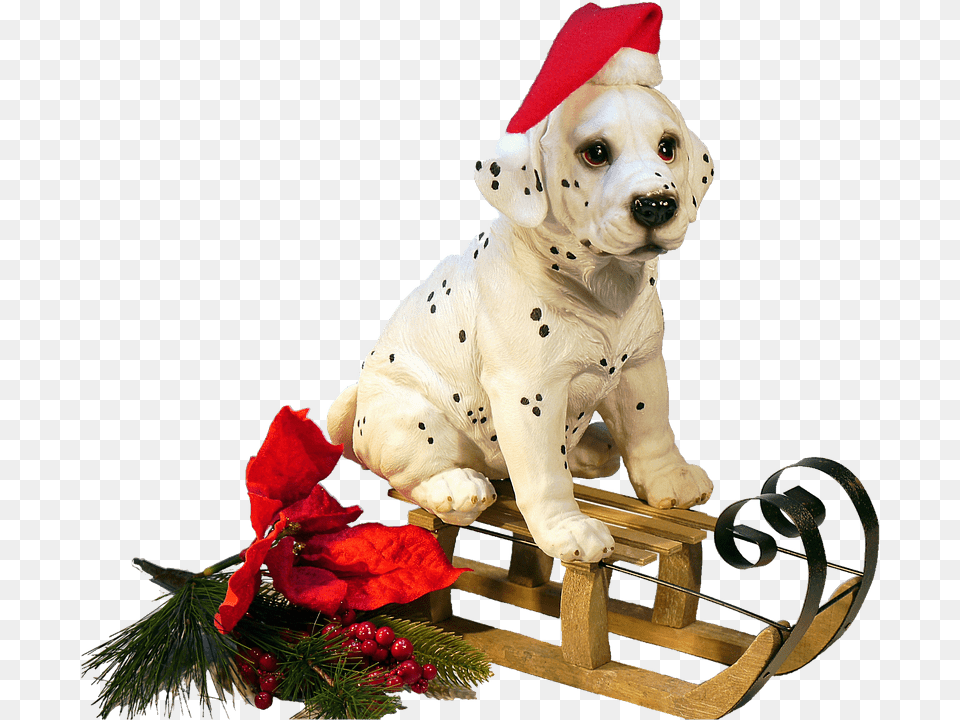 Christmas Dog On A Sledge, Animal, Pet, Mammal, Canine Png