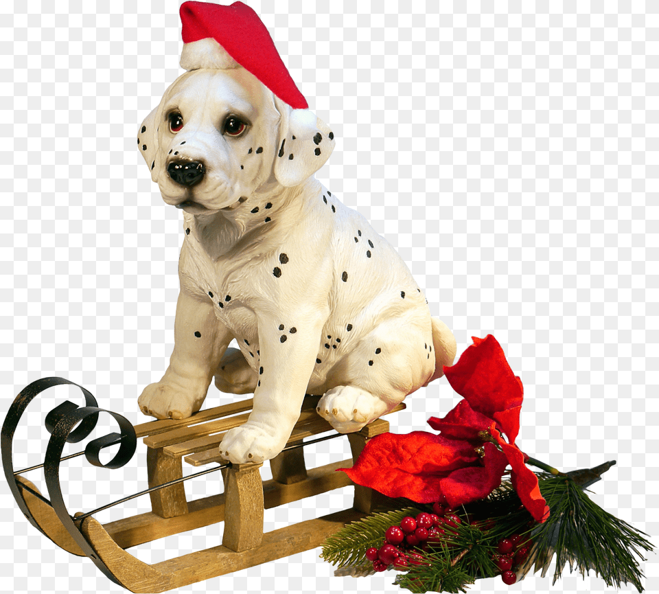 Christmas Dog Transparent Image Pngpix, Flower, Flower Arrangement, Plant, Animal Free Png