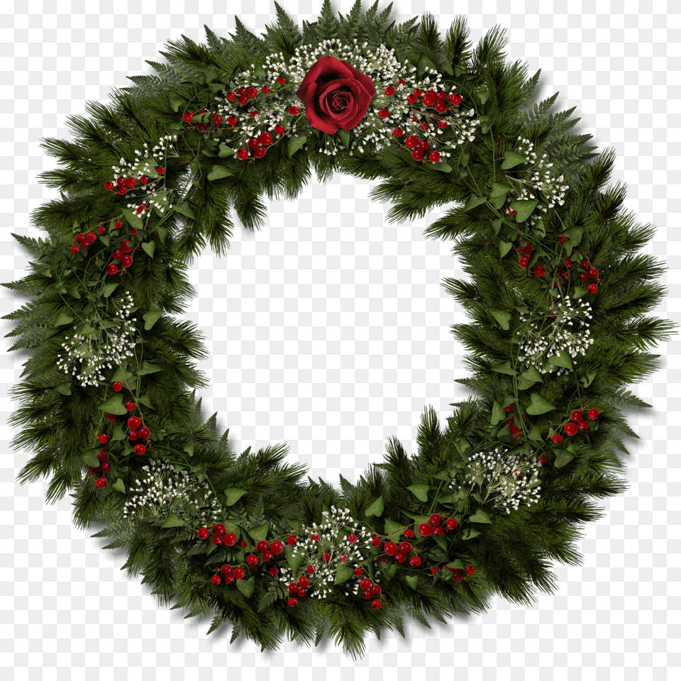 Christmas Door Decoration, Wreath, Plant, Flower, Rose Free Png