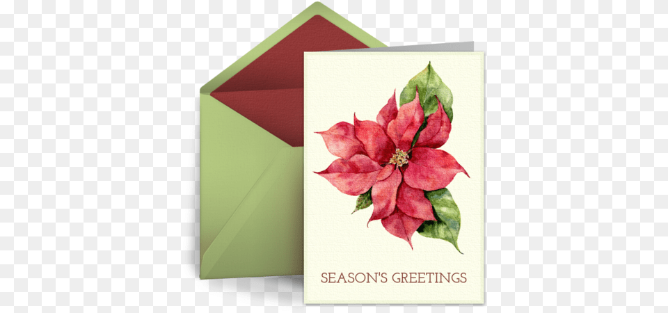 Christmas Ecard Greeting Card Horizontal, Envelope, Greeting Card, Mail, Plant Free Png