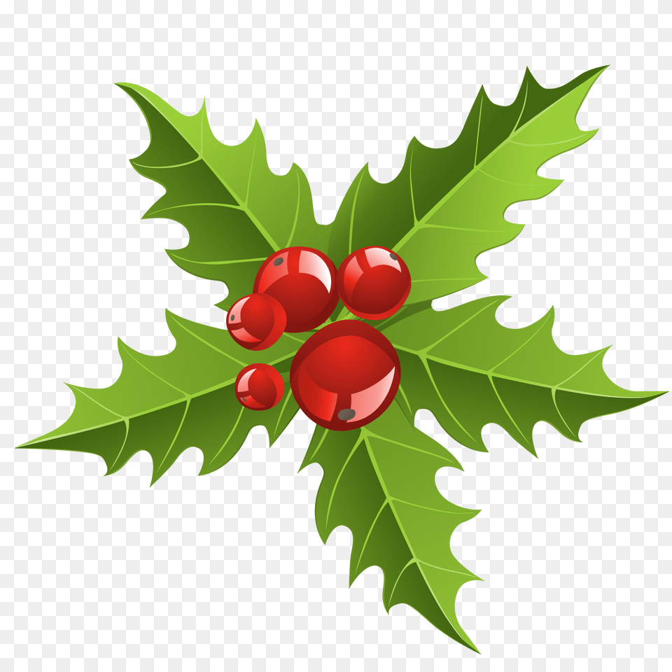 Christmas Elements Clipart, Leaf, Plant, Food, Fruit Free Png