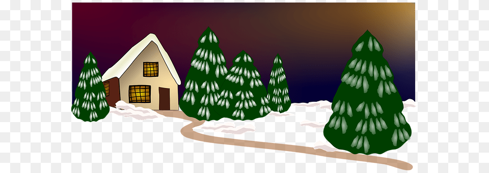 Christmas Eve Tree, Plant, Fir, Pine Png