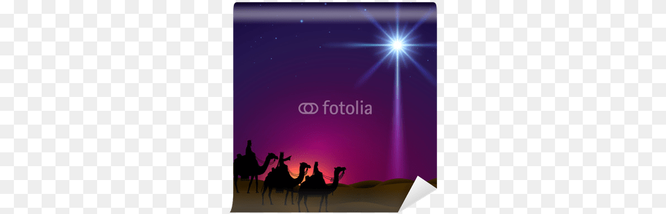Christmas Eve Services In Churches, Lighting, Animal, Camel, Mammal Free Png Download