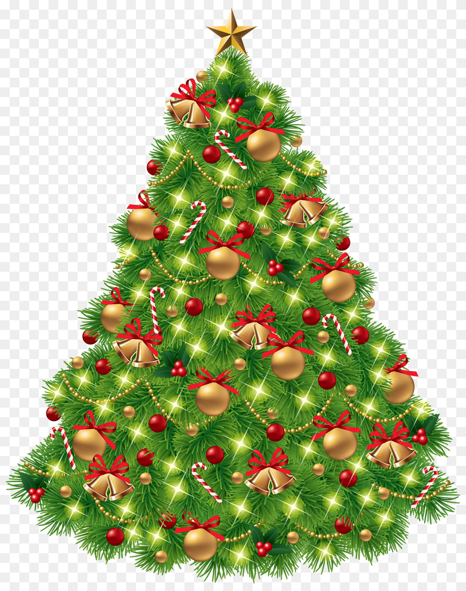Christmas Fir Christmas Tree, Plant, Christmas Decorations, Festival, Chandelier Png Image