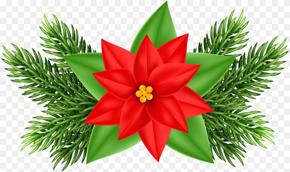 Christmas Flower Png Image