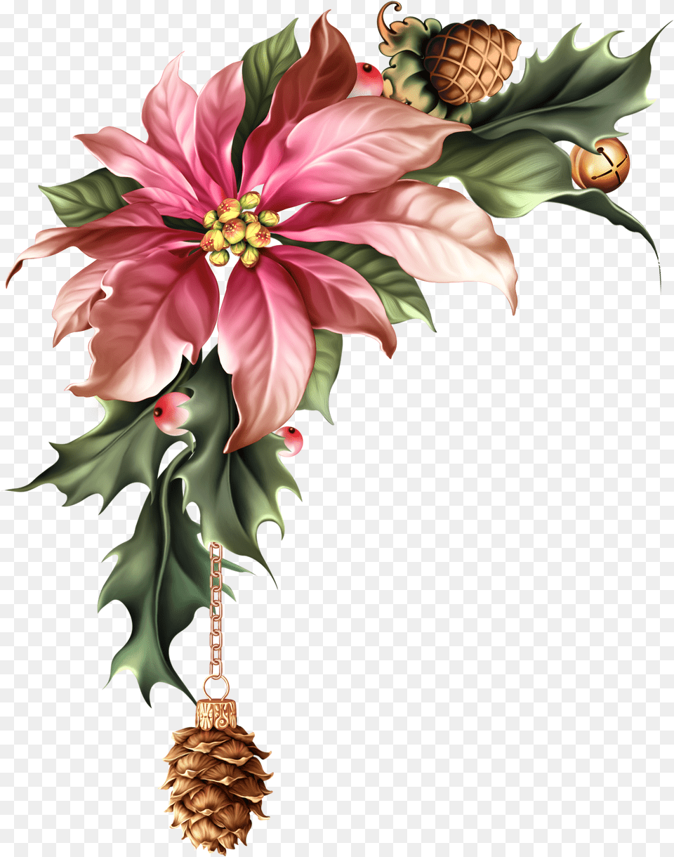Christmas Flower, Leaf, Plant, Tree, Flower Bouquet Free Png