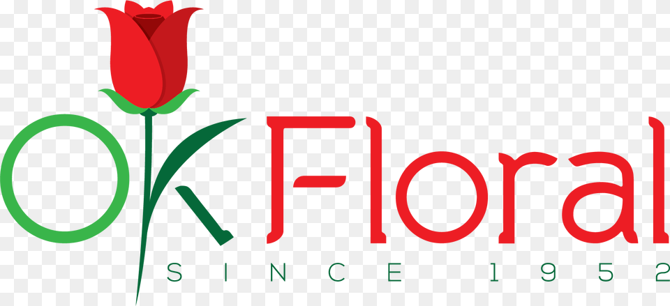 Christmas Flower, Plant, Rose, Text, Logo Png Image