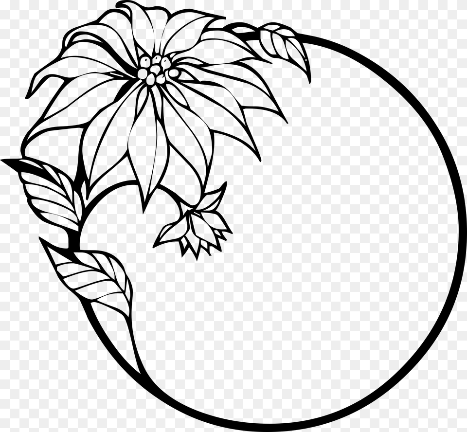 Christmas Flower, Gray Free Png