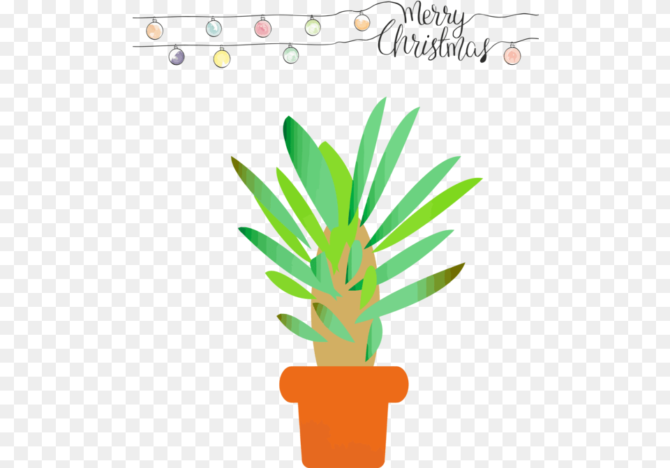 Christmas Flowerpot Houseplant Plant Kaktus Kartun, Food, Fruit, Pineapple, Produce Free Transparent Png