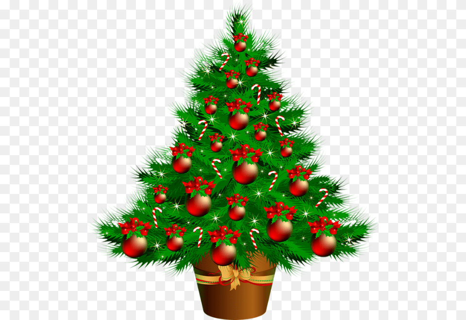 Christmas For A Family, Plant, Tree, Christmas Decorations, Festival Free Transparent Png
