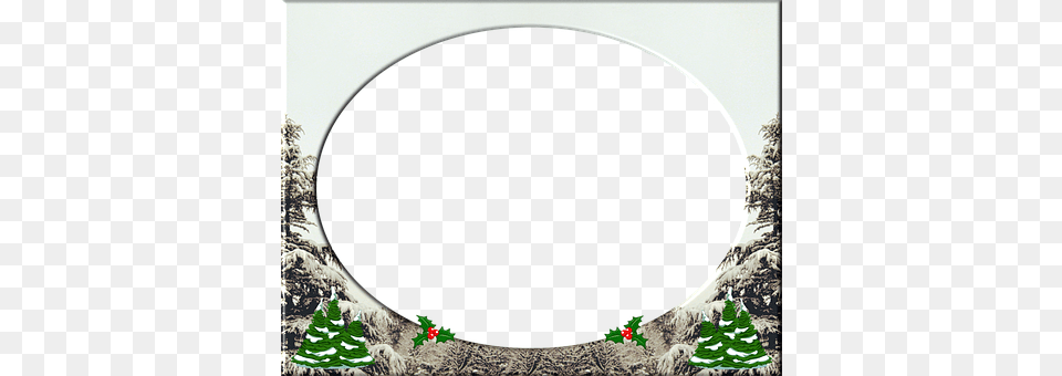 Christmas Frame Fir, Plant, Tree, Christmas Decorations Free Png Download