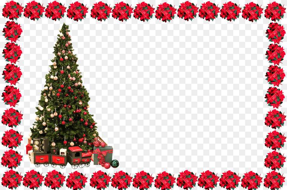 Christmas Frame With Tree, Plant, Christmas Decorations, Festival, Christmas Tree Free Png