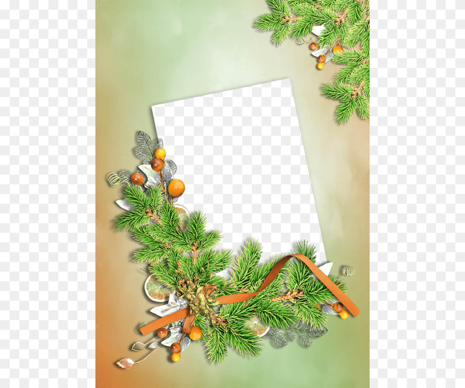 Christmas Frames Christmas And New Year Christmas Christmas Day, Plant, Tree, Conifer, Citrus Fruit Free Transparent Png