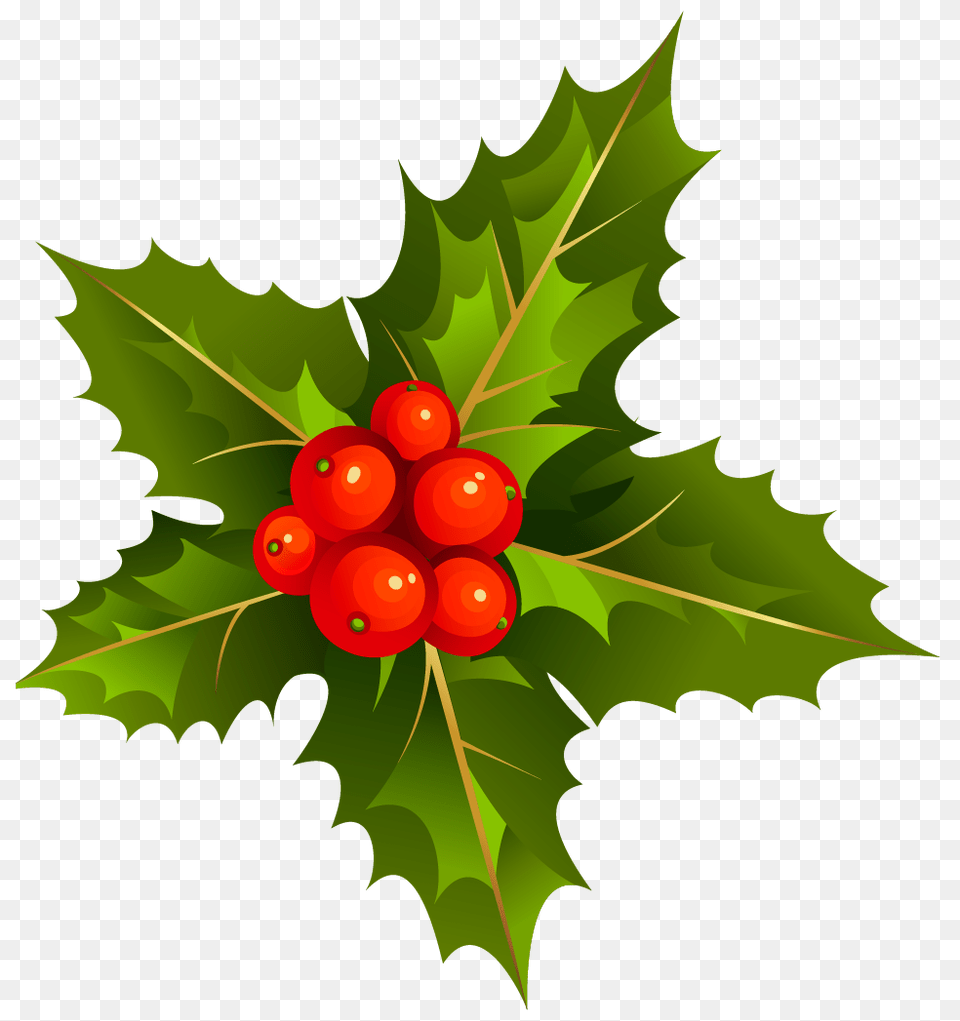 Christmas Leaf, Plant, Food, Fruit Free Transparent Png