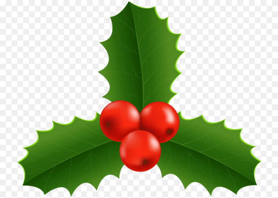 Christmas Free Images Toppng, Leaf, Plant, Food, Fruit Png