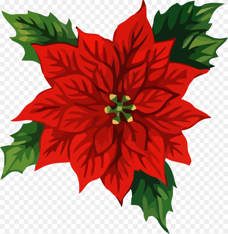 Christmas Front Flower Clipart Christmas Clip Art, Dahlia, Leaf, Plant, Anther Png