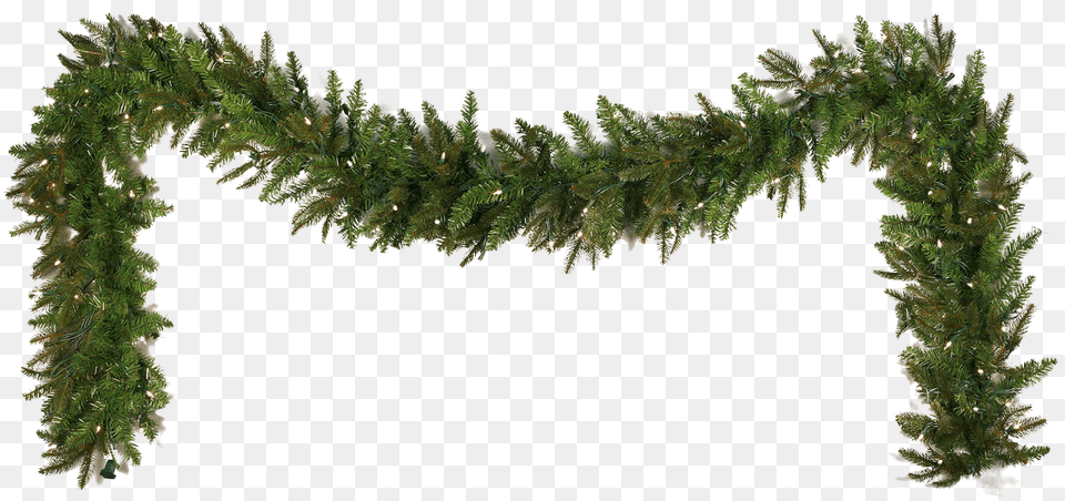 Christmas Garland, Plant, Tree, Conifer, Pine Free Transparent Png