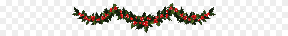 Christmas Garland, Pattern, Plant, Tree, Food Free Png