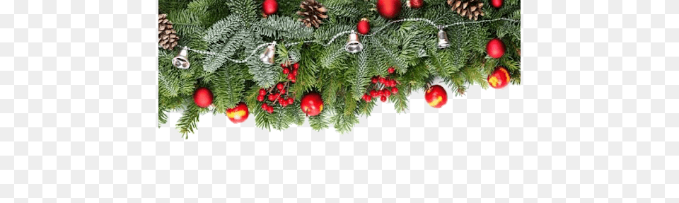Christmas Garland, Tree, Plant, Conifer, Christmas Decorations Free Png Download