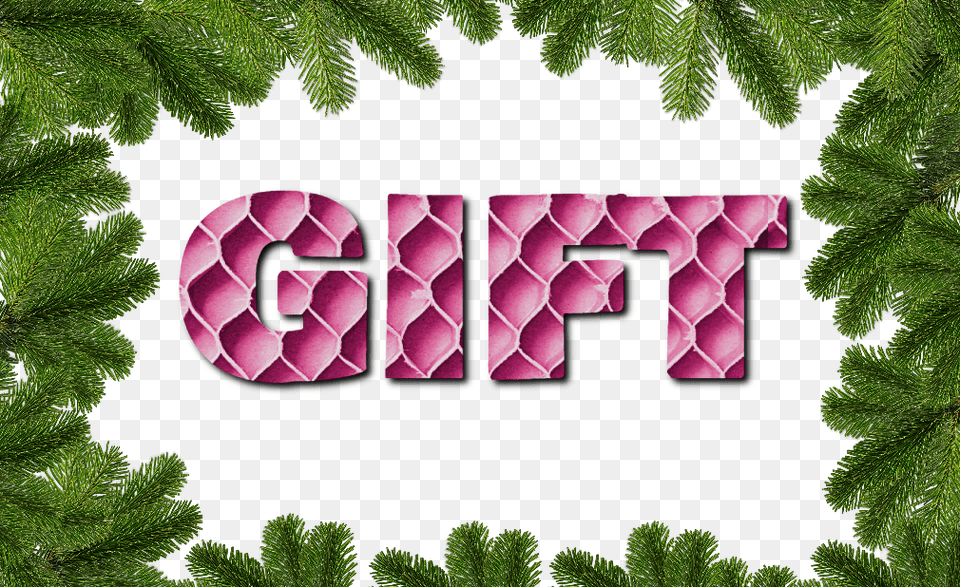Christmas Gift Text Effect, Plant, Vegetation, Tree, Green Png