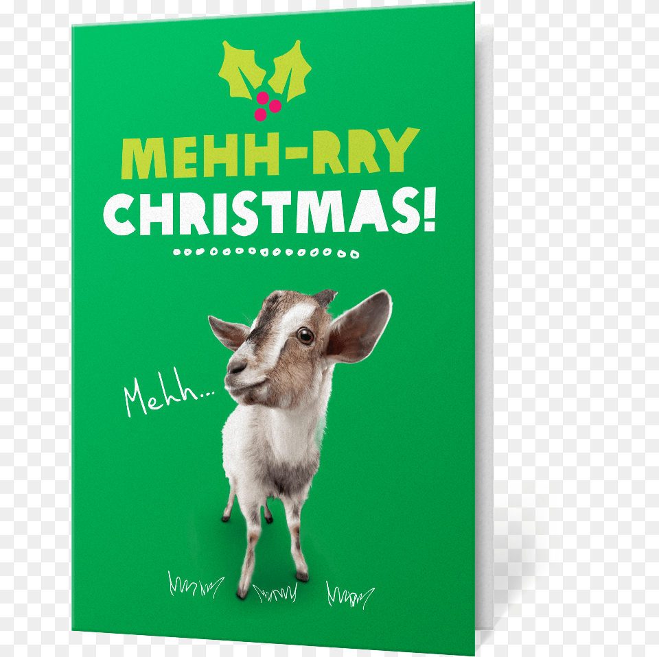 Christmas Goat Charity Gifts Christmas Gift Cards Oxfam, Livestock, Animal, Mammal, Sheep Free Png
