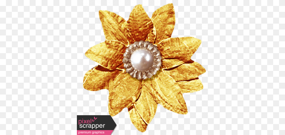 Christmas Gold Flower Graphic By Sheila Reid Pixel Solid Png