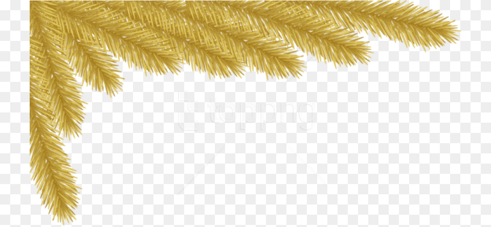 Christmas Gold Pine Corner Images Transparent Gold Pine Cones Clip Art, Conifer, Leaf, Plant, Tree Free Png Download