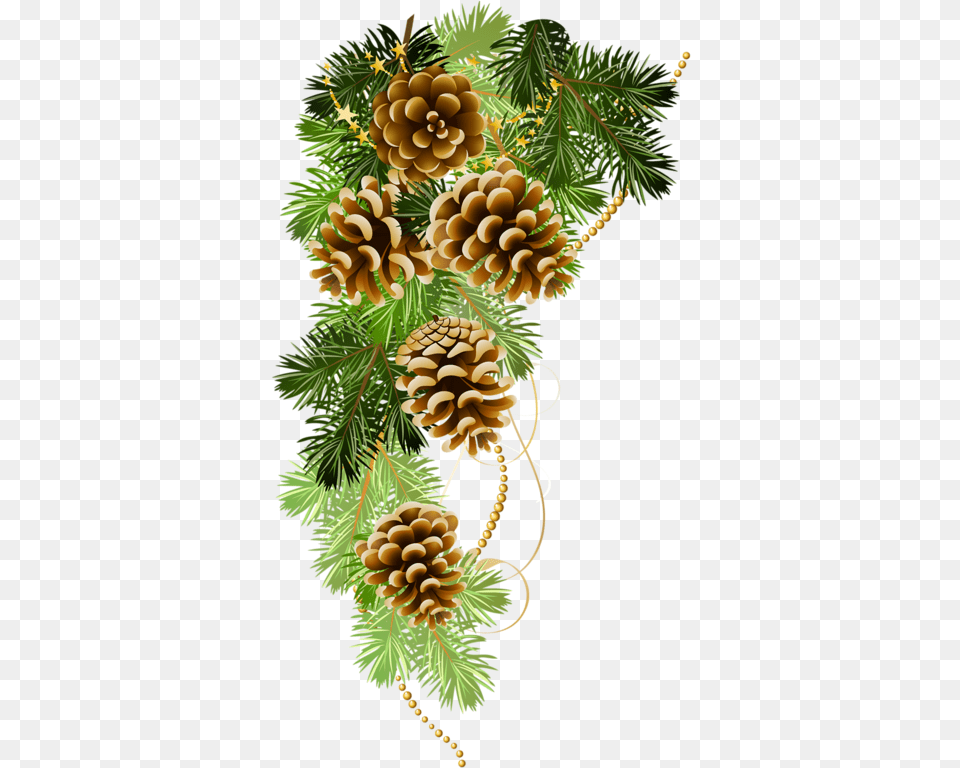 Christmas Graphics Christmas Clipart Christmas Ornaments Pine Cone Christmas, Conifer, Larch, Plant, Tree Free Png