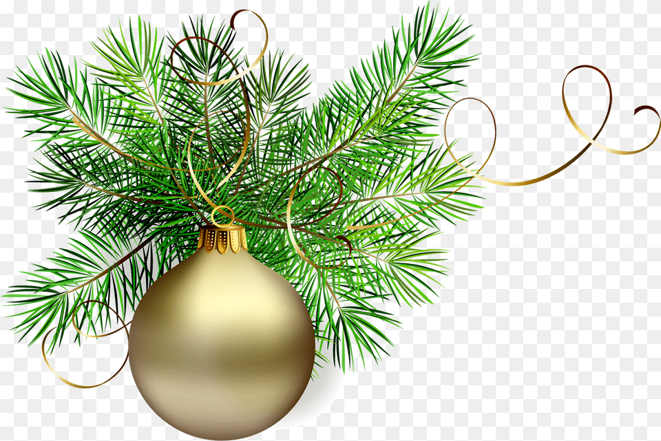 Christmas Green Cliparts Christmas Pine Branch Clipart, Plant, Tree, Accessories, Conifer Free Png Download