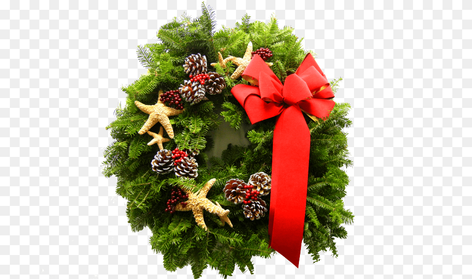 Christmas Greenery Agway Of Cape Cod Dennis, Plant, Wreath Png Image