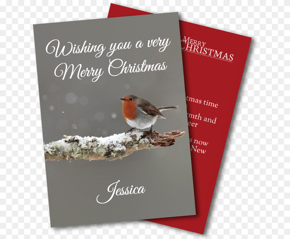 Christmas Greeting Cards Snowman Family All In Glow Card, Advertisement, Poster, Animal, Bird Png Image