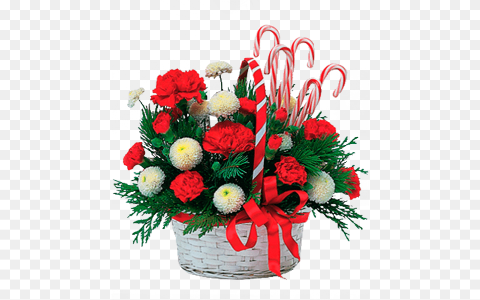 Christmas Greetings For Love, Flower, Flower Arrangement, Flower Bouquet, Plant Png Image