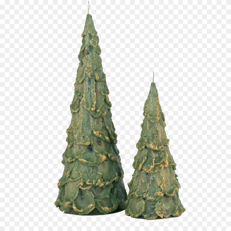 Christmas Holiday Trees Candles Museum Outlets Christmas Tree, Plant, Christmas Decorations, Festival, Christmas Tree Free Transparent Png