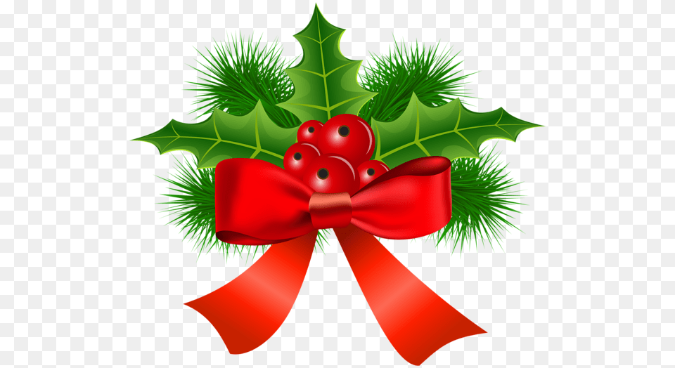 Christmas Hollh, Leaf, Plant, Accessories, Nature Free Transparent Png