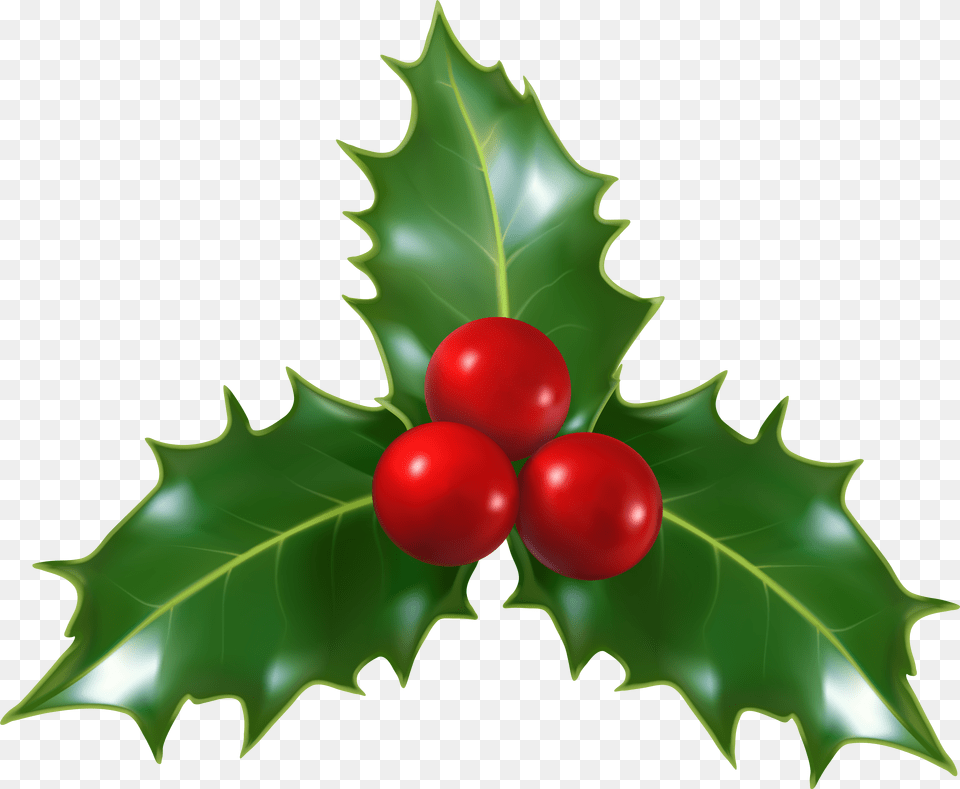 Christmas Holly Border Vector Christmas Holly Free Transparent Png