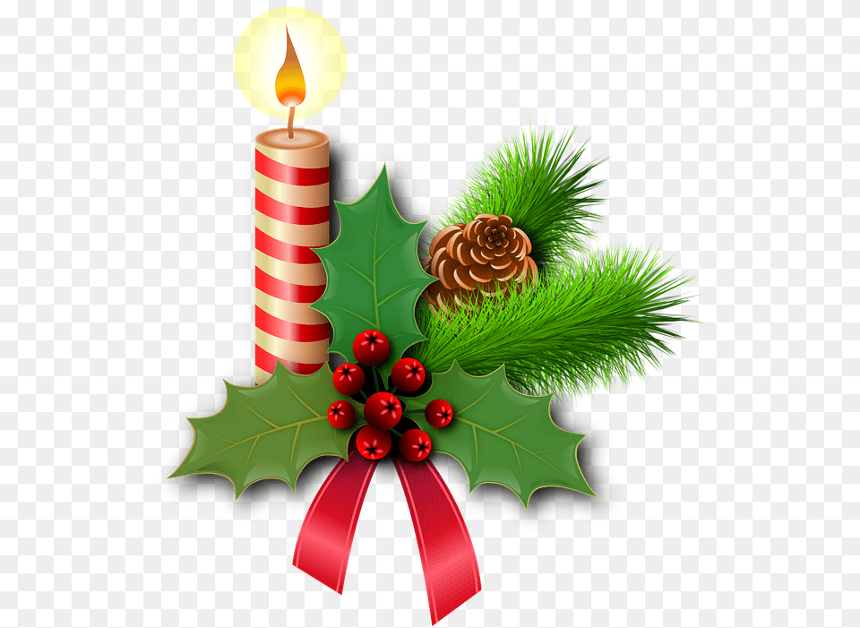 Christmas Holly Candles Decorative Berries Branch, Plant, Tree, Candle Png Image