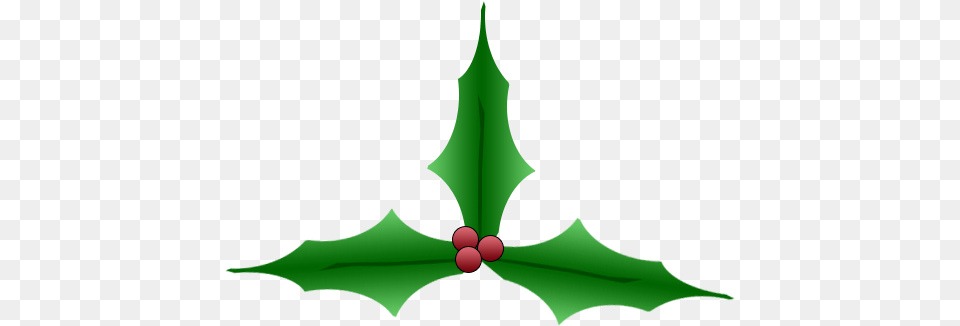 Christmas Holly Christmas Day, Leaf, Plant, Green, Person Free Transparent Png