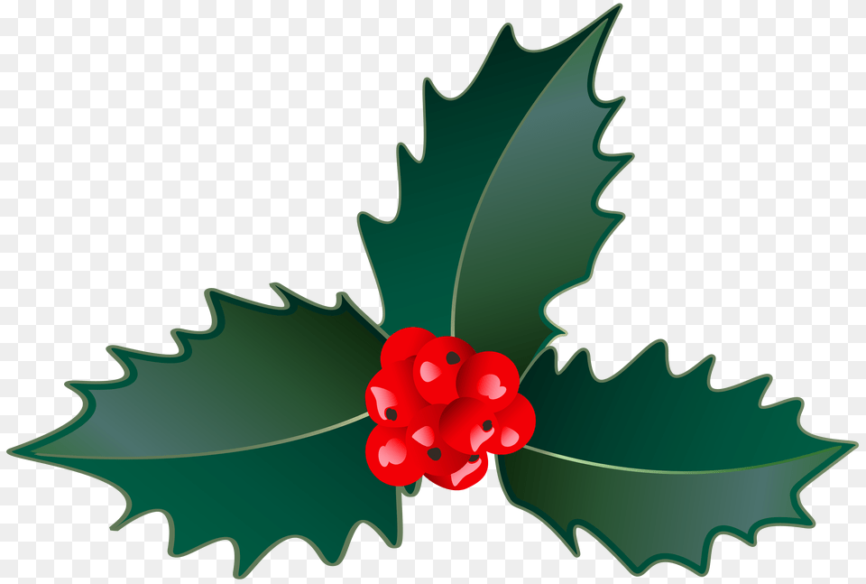Christmas Holly Clip, Leaf, Plant, Flower, Food Free Png
