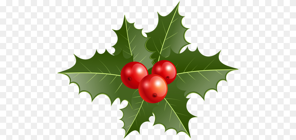 Christmas Holly Clip, Leaf, Plant, Food, Fruit Free Transparent Png