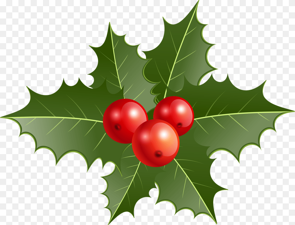 Christmas Holly Clip Art, Leaf, Plant, Food, Fruit Free Transparent Png