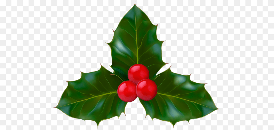 Christmas Holly Clip Art, Food, Fruit, Leaf, Plant Png Image