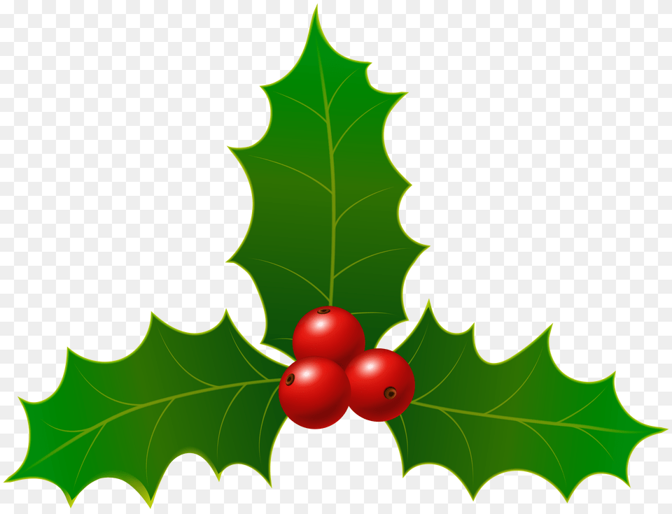 Christmas Holly Clip Art, Leaf, Plant, Green, Tree Free Transparent Png